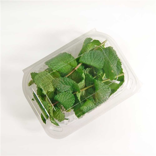 Hinged Lid Container Fresh View Salad Recycled Pet Clear Small Ctn 250