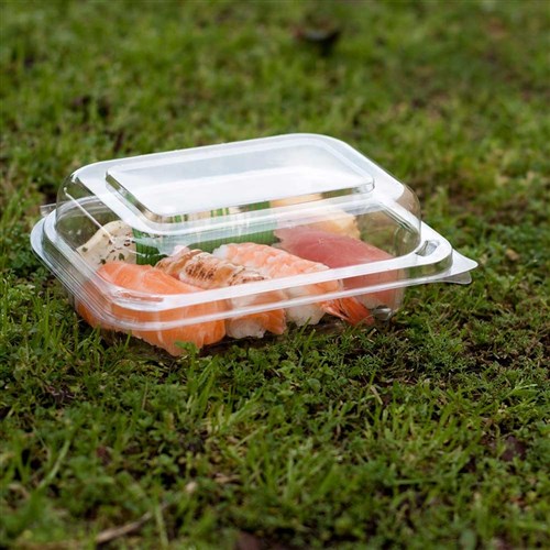 Hinged Lid Container Fresh View Salad Recycled Pet Clear Large Ctn 250