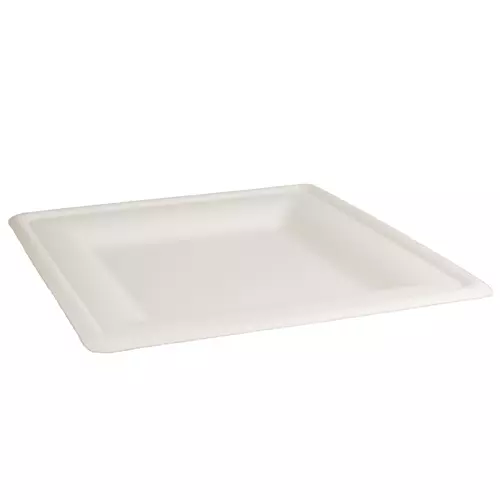 Plate Square Natural Fibre Natural 260mm Ctn 500