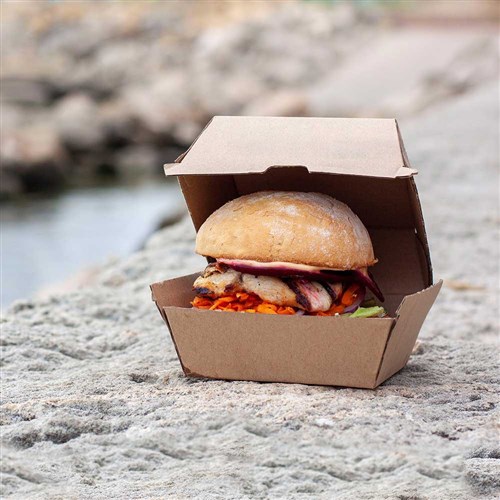 Burger Clam Regular Supaflute Brown Kraft Ctn 250