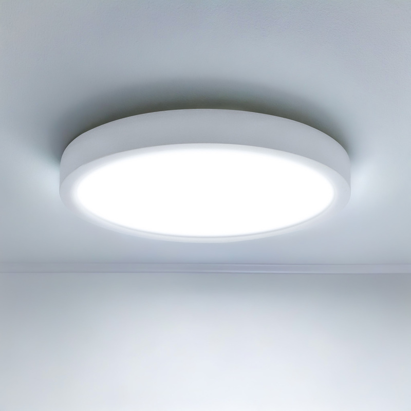 LED Ceiling Light
