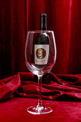 Cabernet Franc: 2022 Texas High Plains