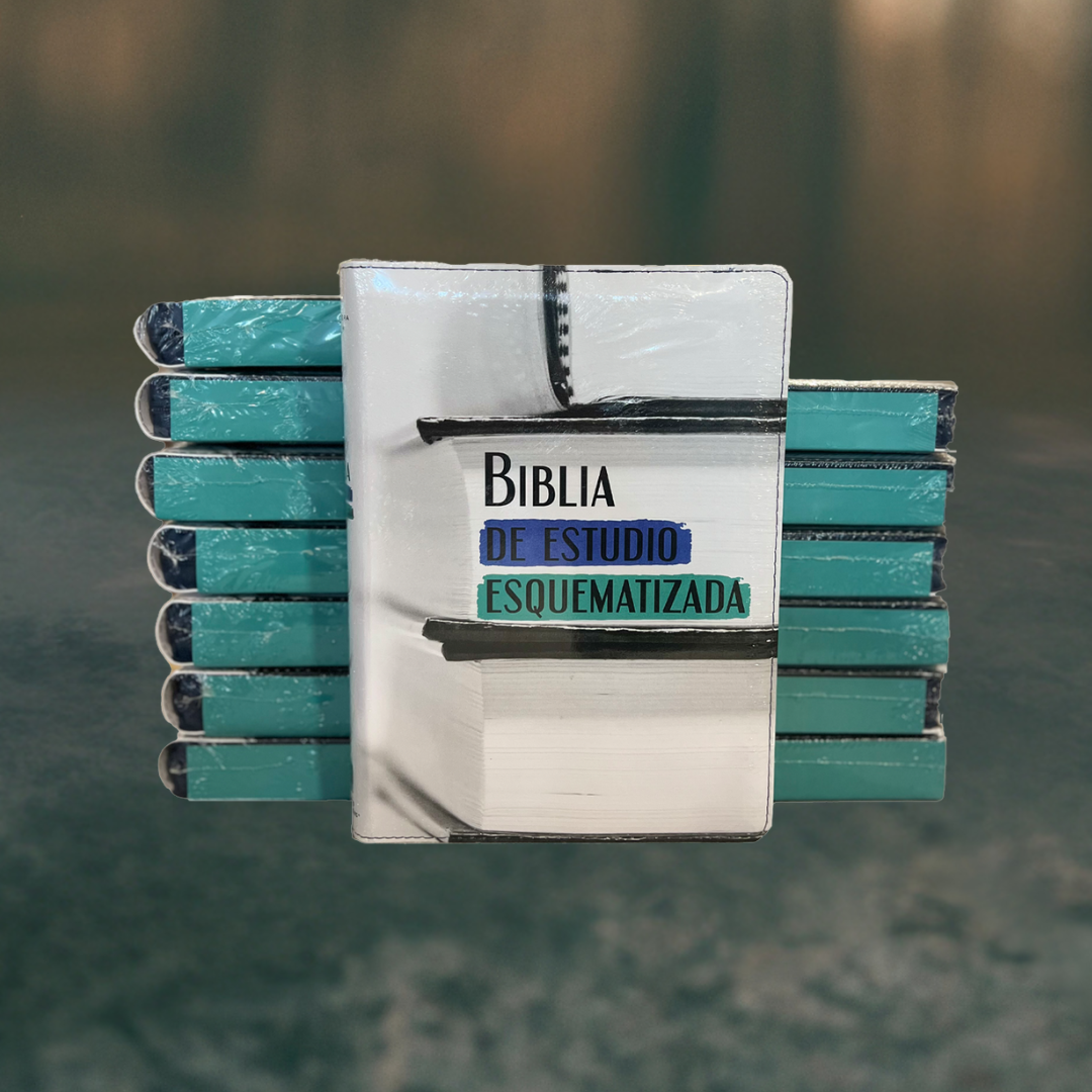 Biblia de Estudio Esquematizada / Imitacion Piel multicolor / Letra grande de 10.5 - Caja de 14 unidades