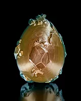 Egg Lamp