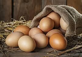 Free Range Eggs XL
