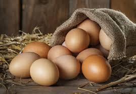 Free Range Eggs XL