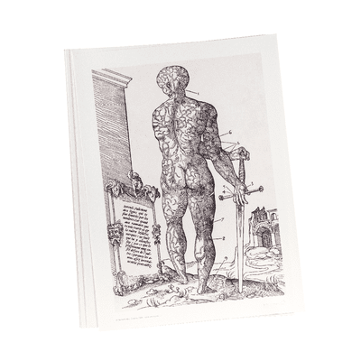 El sistema cardiovascular