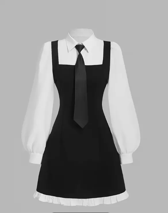 Elegant Long Sleeve Dress