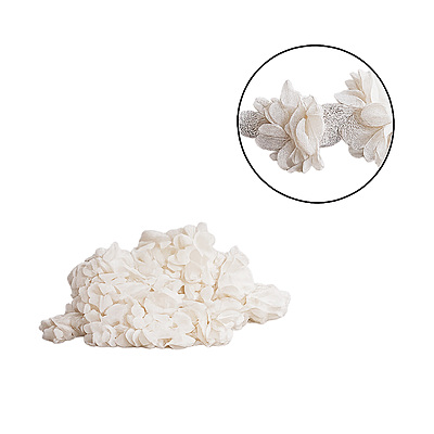Encaje Flores 6 Cm 65 Blanco Rollo X 10 Yardas