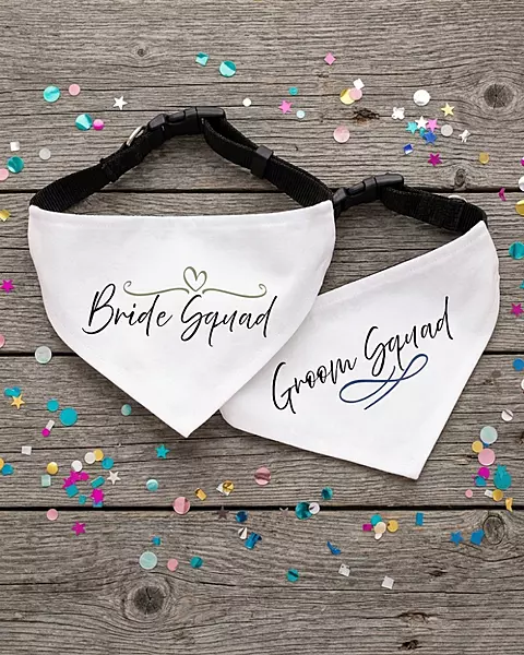 Signature Collection Entourage Bandana