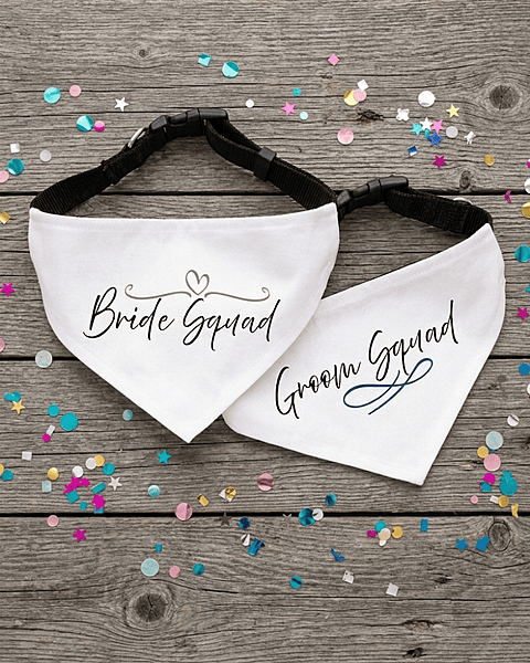 Signature Collection Entourage Bandana