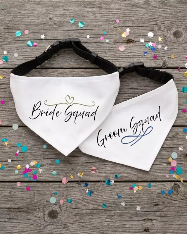 Signature Collection Entourage Bandana