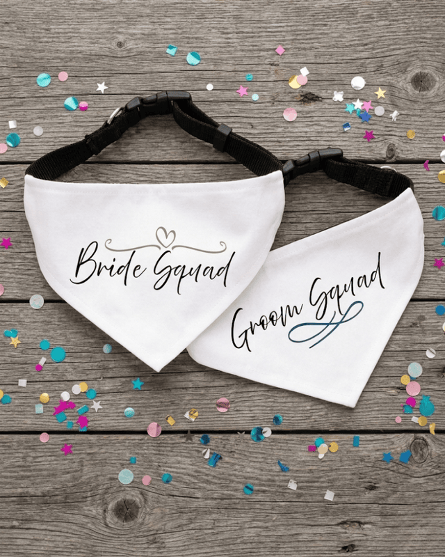 Signature Collection Entourage Bandana