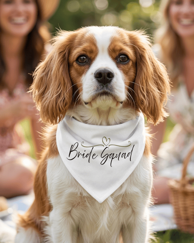 Signature Collection Entourage Bandana