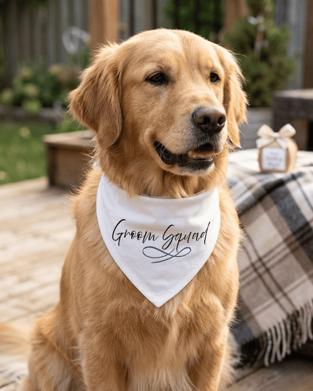 Signature Collection Entourage Bandana