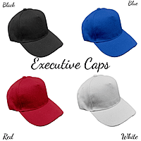 Caps 5 Panel Executive 