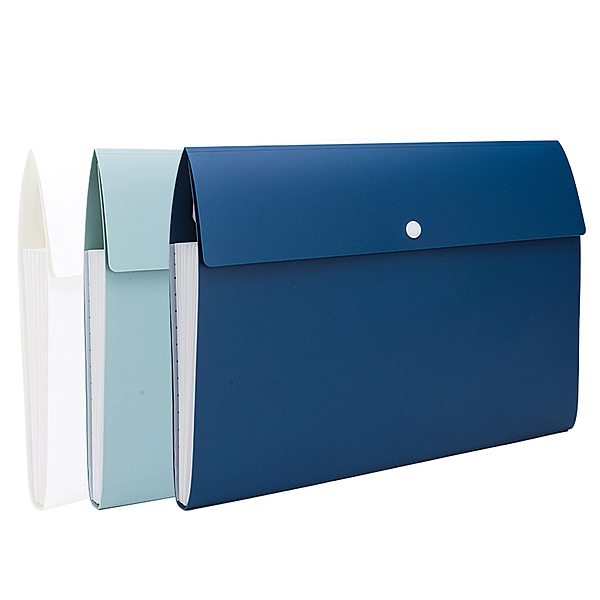 CARPETA EXPANDIBLE - F606