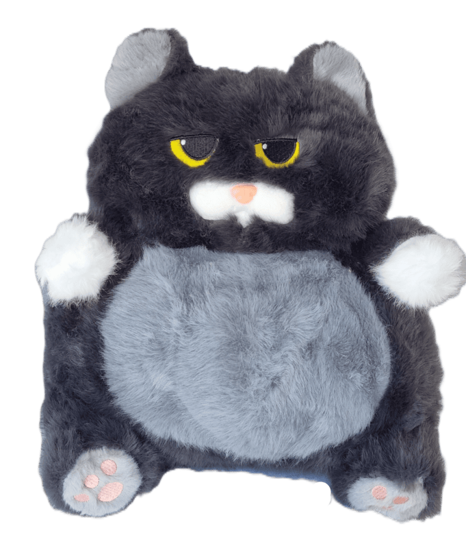 Persians - Grey Persians - Grey