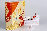 Fantasy Model 757-300 special livery for Yi-Si Year
