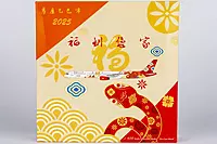 Fantasy Model 757-300 special livery for Yi-Si Year