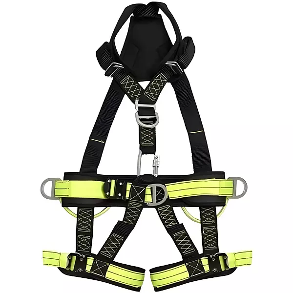 Pioneer Technical Harness