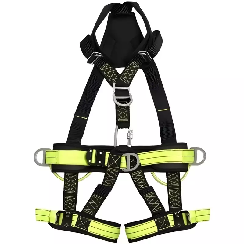 Pioneer Technical Harness