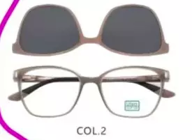 Sunglasses ZF2002