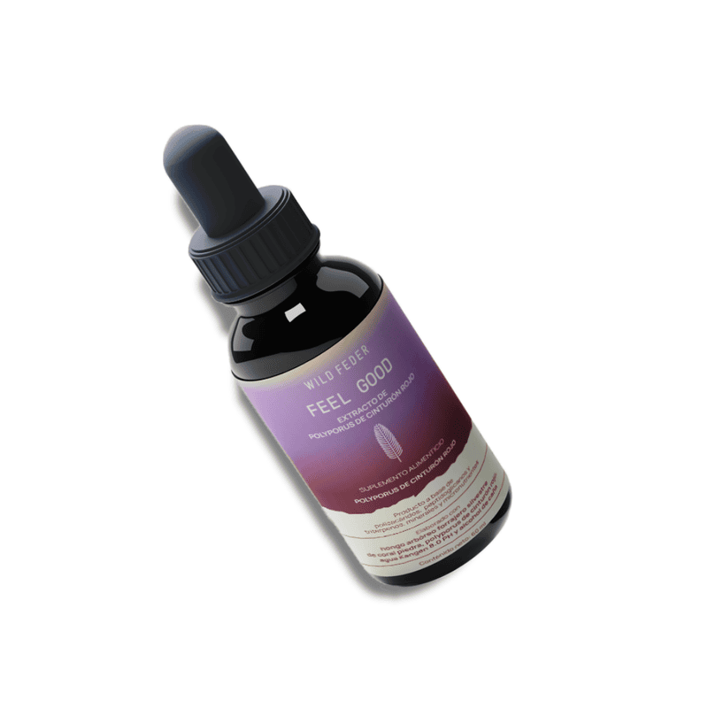 TINTURA WF FEEL GOOD 60ML