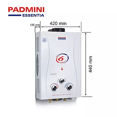 Front view of the Padmini "Flora" heater showing the Hot/Cold switch and Summer/Winter knobs.