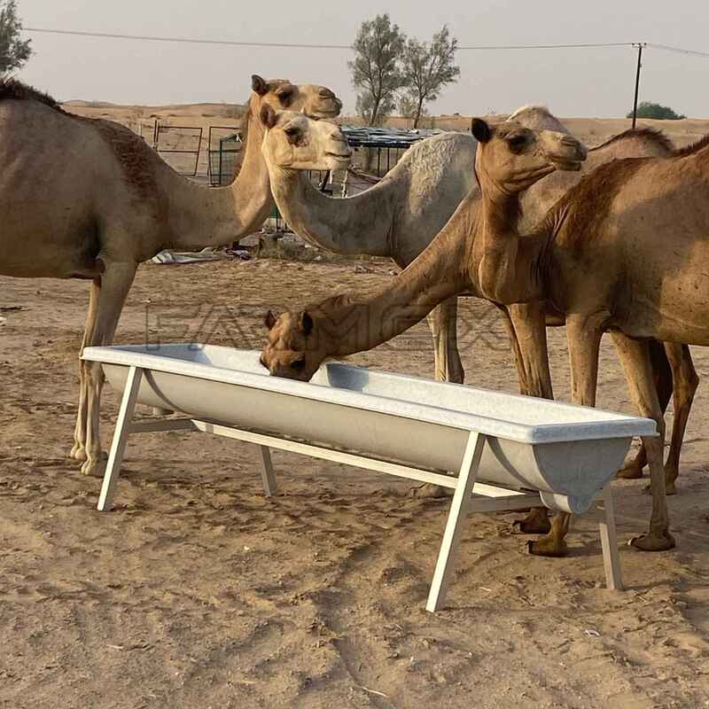 Farmex Trough 400 Liter for Camel
