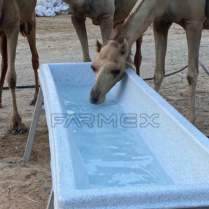 Farmex Trough 400 Liter for Camel
