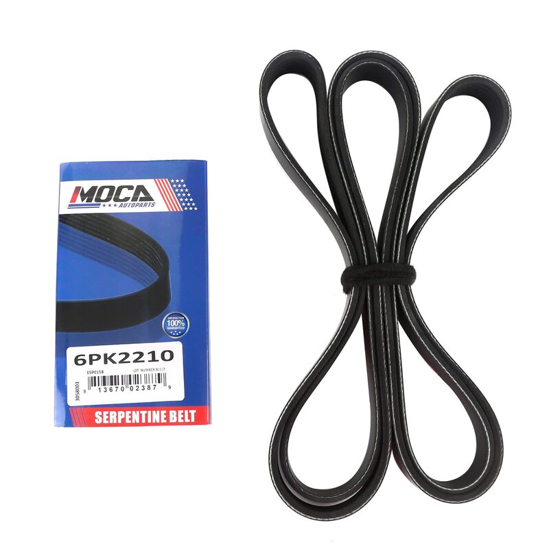 FUN BELT:MATSUSAKA 6PK 2210