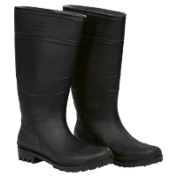 Barron Imayini Gumboot