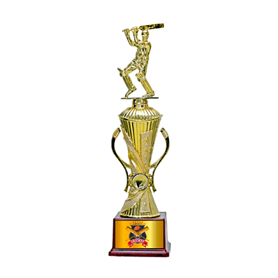 Fibre Trophy BB0012 Cricket