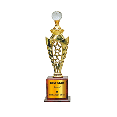 Fiber Trophy BB007