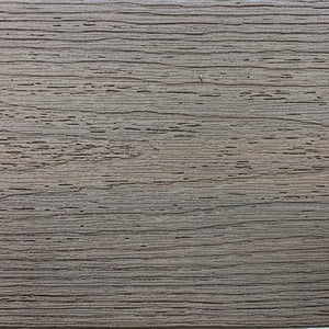 Fiberon Latte