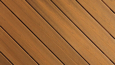 Fiberon Moringa