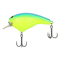 Shimano Macbeth Big Shimano Macbeth Big