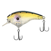 Shimano Macbeth Big Shimano Macbeth Big