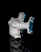 Fist of Surge