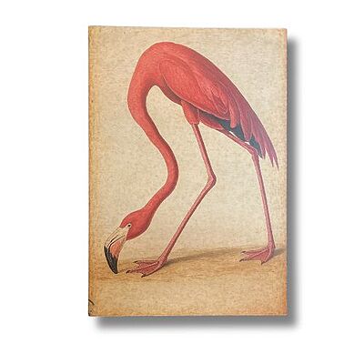 55x80 Plywood 55x80 Plywood