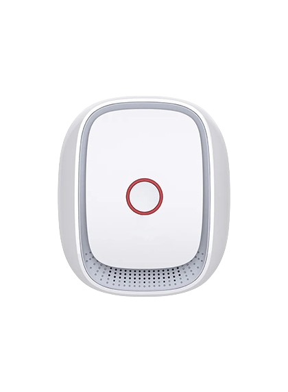 Gas Sensor