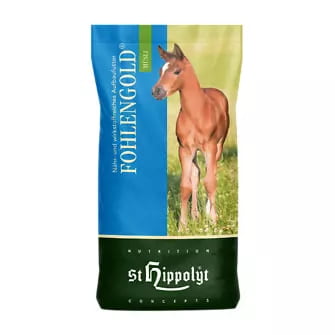 Fohlengold