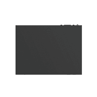 RG-ES220GS-LP