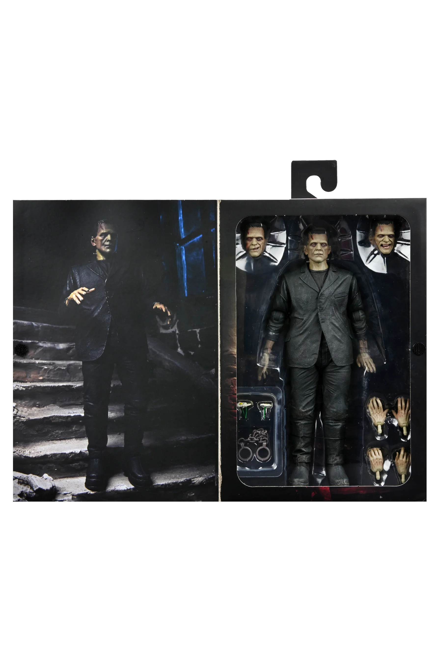 Frankenstein's Monster (Color Version)