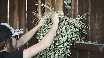 Hay Chix Free Up Feeder