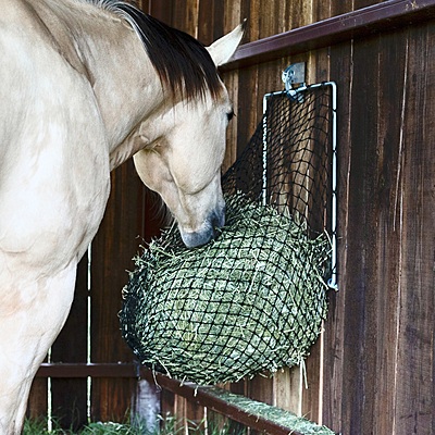 Hay Chix Free Up Feeder