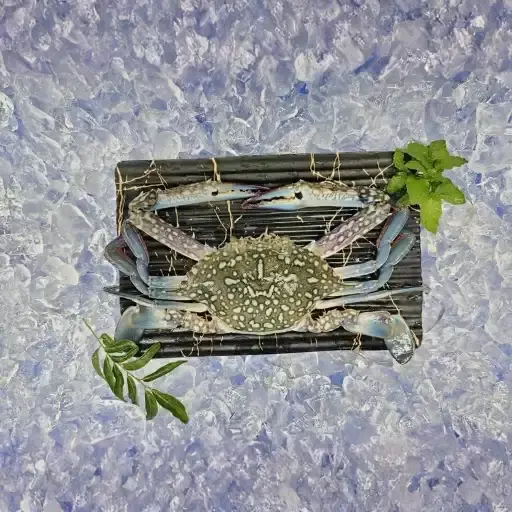 Blue Crab