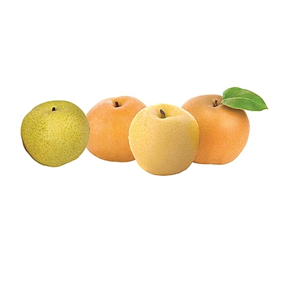 4n1 Asian Pear