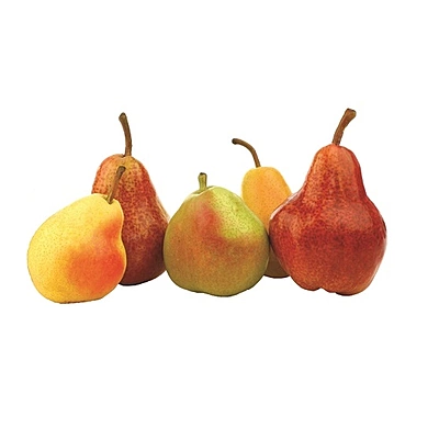 4n1 European Pear